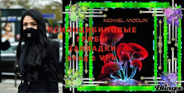 тгк Магас