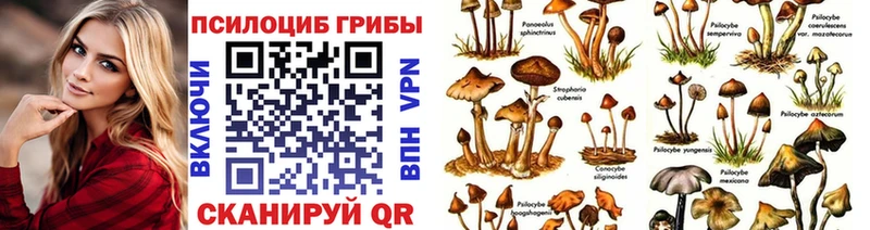 Купить закладки  Колпашево  Галлюциногенные грибы Cubensis 